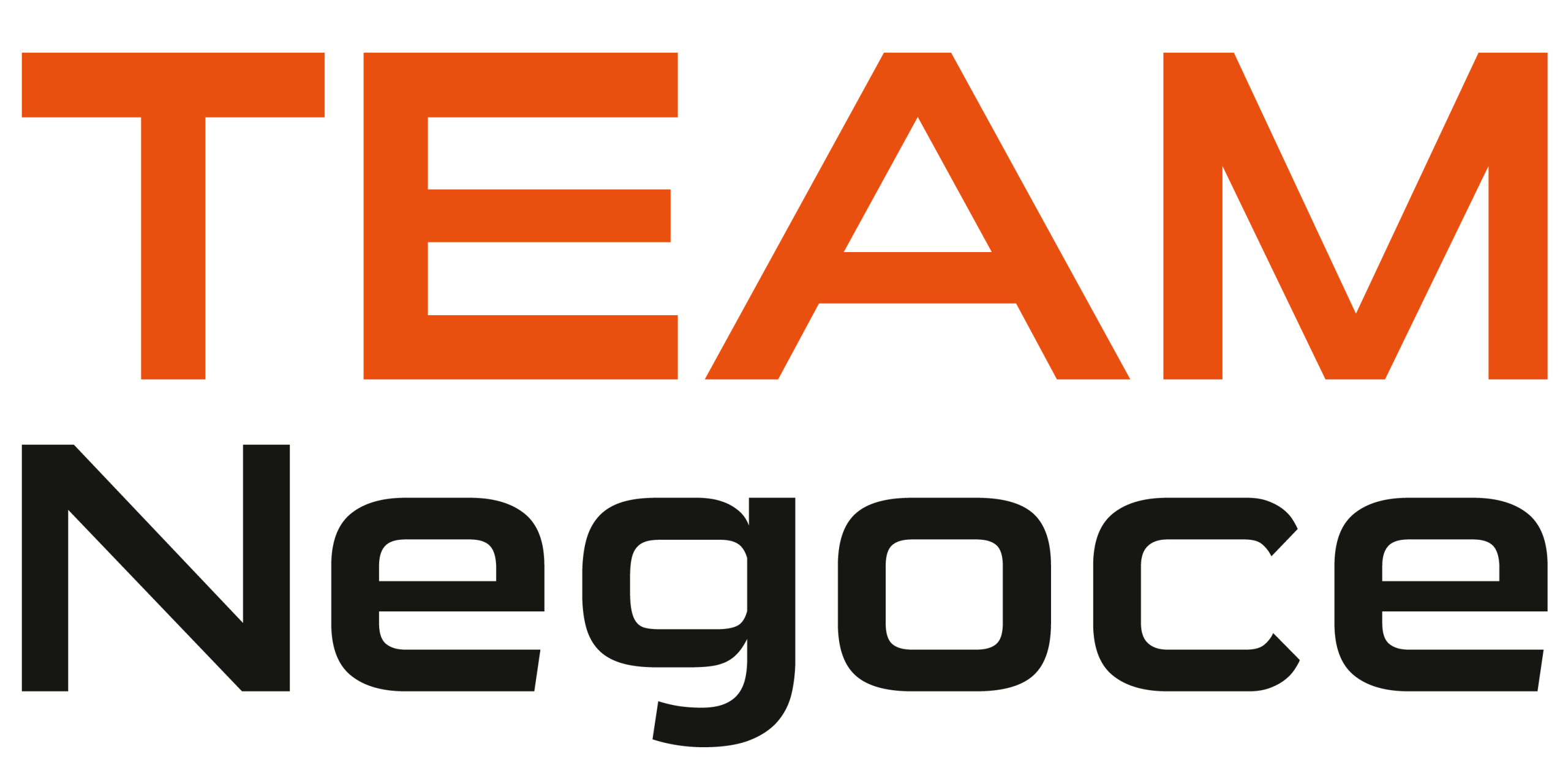 logo team negoce_Plan de travail 1