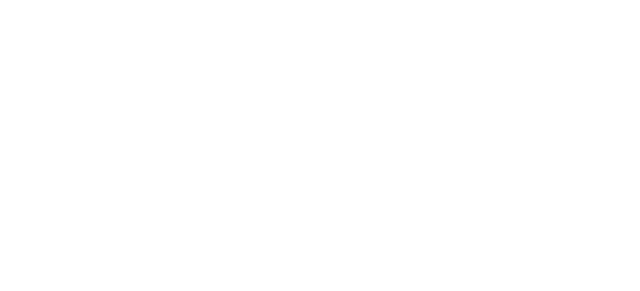 logo-team-negoce